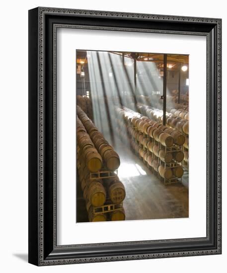 Shafts of Light in Barrel Room of Montevina Winery, Shenandoah Valley, California, USA-Janis Miglavs-Framed Photographic Print