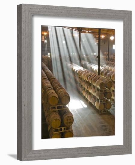 Shafts of Light in Barrel Room of Montevina Winery, Shenandoah Valley, California, USA-Janis Miglavs-Framed Photographic Print