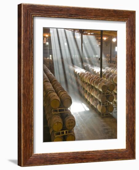 Shafts of Light in Barrel Room of Montevina Winery, Shenandoah Valley, California, USA-Janis Miglavs-Framed Photographic Print