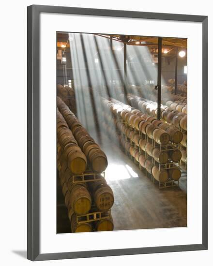 Shafts of Light in Barrel Room of Montevina Winery, Shenandoah Valley, California, USA-Janis Miglavs-Framed Photographic Print