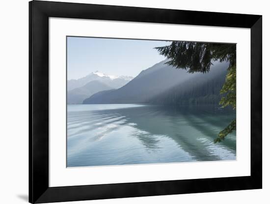 Shafts of morning light through trees. Boat wake adds texture to calm Baker Lake. Mt. Shuksan-Trish Drury-Framed Photographic Print
