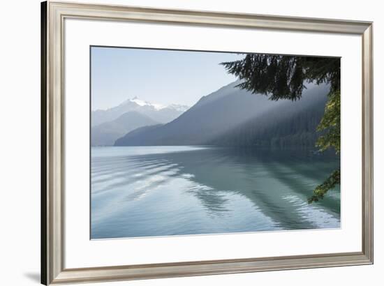 Shafts of morning light through trees. Boat wake adds texture to calm Baker Lake. Mt. Shuksan-Trish Drury-Framed Photographic Print