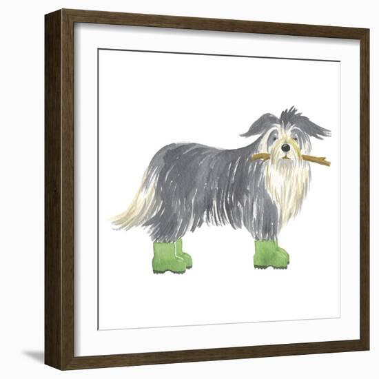 Shaggy Dog I-Kate Mawdsley-Framed Giclee Print