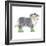 Shaggy Dog I-Kate Mawdsley-Framed Giclee Print