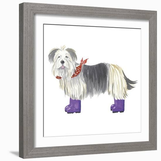 Shaggy Dog II-Kate Mawdsley-Framed Giclee Print