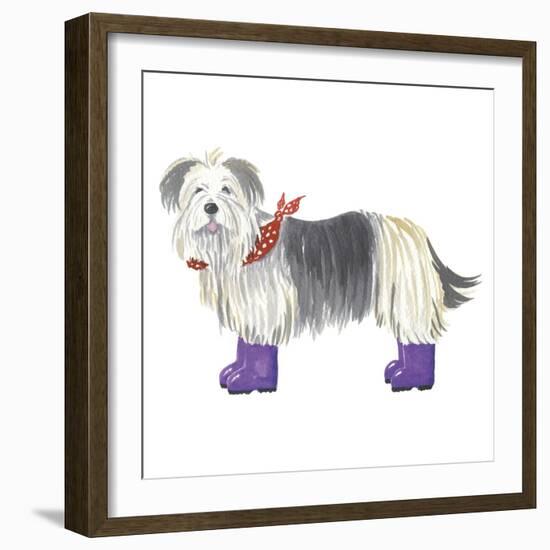 Shaggy Dog II-Kate Mawdsley-Framed Giclee Print