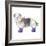 Shaggy Dog II-Kate Mawdsley-Framed Giclee Print