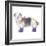 Shaggy Dog II-Kate Mawdsley-Framed Giclee Print