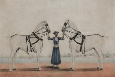A Syce  Holding Two Carriage Horses, c.1845-Shaik Muhammad Amir of Karraya-Giclee Print