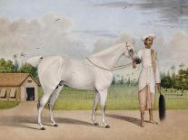 A Small White Stallion Standing with a Groom Holding a Chauri-Shaikh Muhammad Amir Of Karraya-Mounted Giclee Print