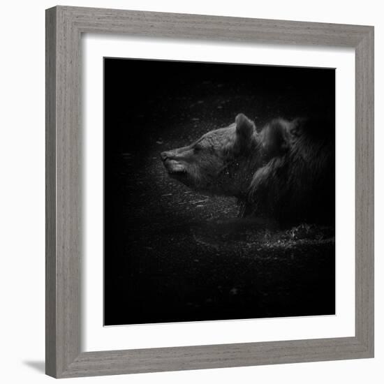 Shake It-Ruud Peters-Framed Photographic Print
