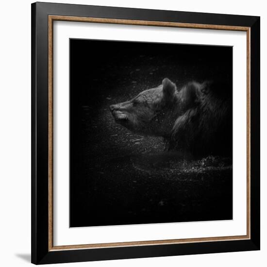 Shake It-Ruud Peters-Framed Photographic Print