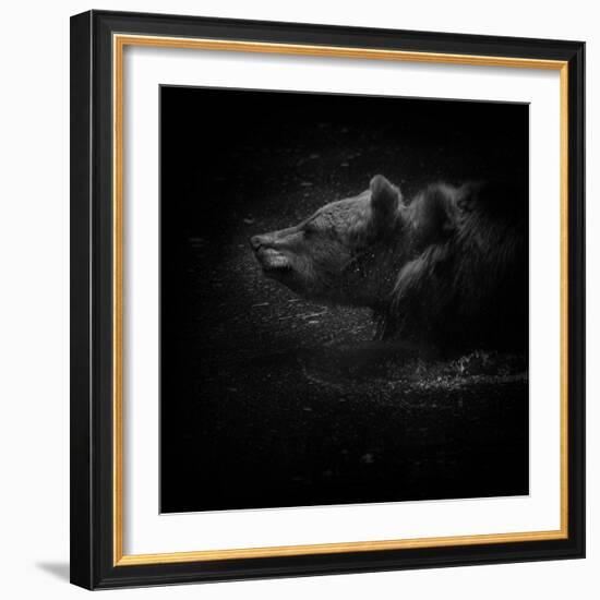 Shake It-Ruud Peters-Framed Photographic Print