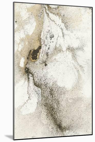 Shake the Dust 2-Stefano Altamura-Mounted Giclee Print