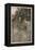 Shakespeare, Puck, Fairy-Arthur Rackham-Framed Premier Image Canvas