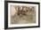 Shakespeare: Puck-Arthur Rackham-Framed Premium Giclee Print