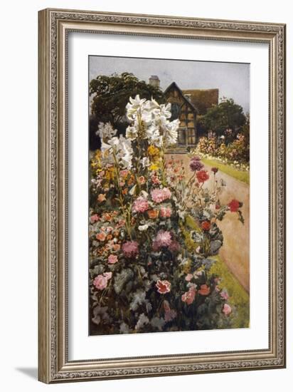 Shakespeare's Garden Stratford-On-Avon. a Packed Herbaceous Border Leads up to the House-null-Framed Art Print