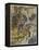 Shakespeare, the Tempest-Arthur Rackham-Framed Stretched Canvas