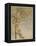 Shakespeare, the Tempest-Arthur Rackham-Framed Stretched Canvas