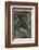 Shakespeare, Titania-Arthur Rackham-Framed Photographic Print