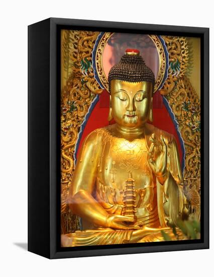 Shakyamuni Buddha Statue in Main Hall, Po Lin Monastery, Tung Chung, Hong Kong, China, Asia-null-Framed Premier Image Canvas