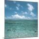 Premium Photographic Print