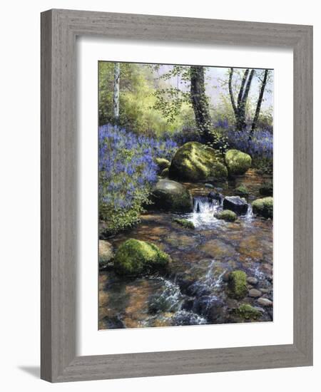 Shallow Brook-Bill Makinson-Framed Giclee Print