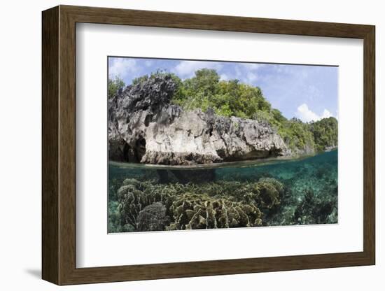 Shallow Coral Reef, Raja Ampat, West Papua, Indonesia-Reinhard Dirscherl-Framed Photographic Print