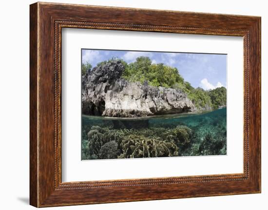 Shallow Coral Reef, Raja Ampat, West Papua, Indonesia-Reinhard Dirscherl-Framed Photographic Print