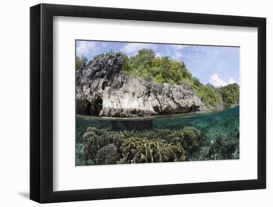 Shallow Coral Reef, Raja Ampat, West Papua, Indonesia-Reinhard Dirscherl-Framed Photographic Print