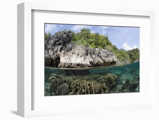 Shallow Coral Reef, Raja Ampat, West Papua, Indonesia-Reinhard Dirscherl-Framed Photographic Print