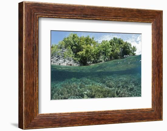 Shallow Coral Reef, Raja Ampat, West Papua, Indonesia-Reinhard Dirscherl-Framed Photographic Print