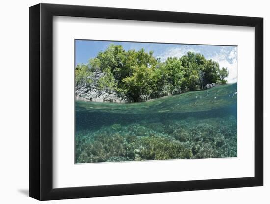 Shallow Coral Reef, Raja Ampat, West Papua, Indonesia-Reinhard Dirscherl-Framed Photographic Print