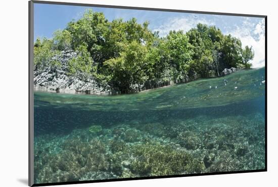 Shallow Coral Reef, Raja Ampat, West Papua, Indonesia-Reinhard Dirscherl-Mounted Photographic Print