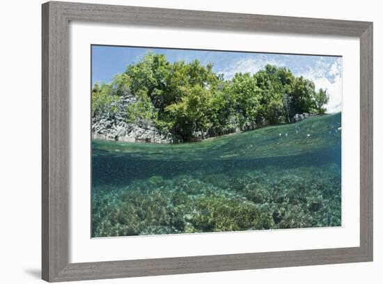 Shallow Coral Reef, Raja Ampat, West Papua, Indonesia-Reinhard Dirscherl-Framed Photographic Print