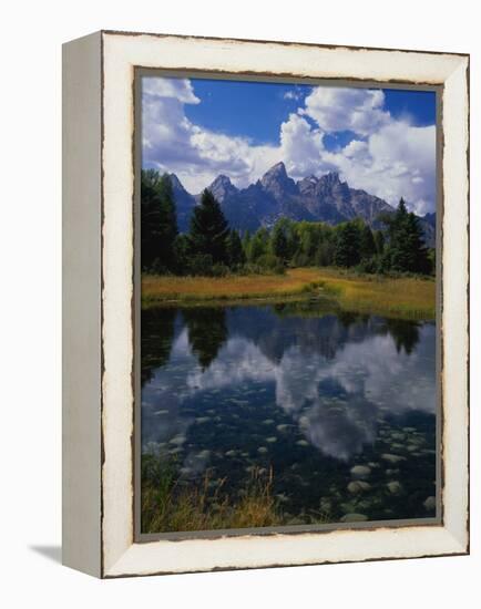 Shallow Pond Near Teton Range-James Randklev-Framed Premier Image Canvas