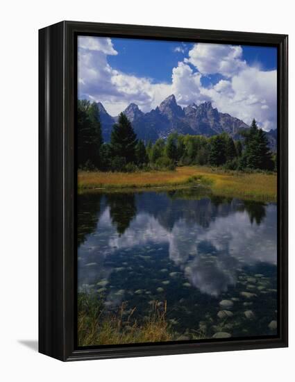 Shallow Pond Near Teton Range-James Randklev-Framed Premier Image Canvas