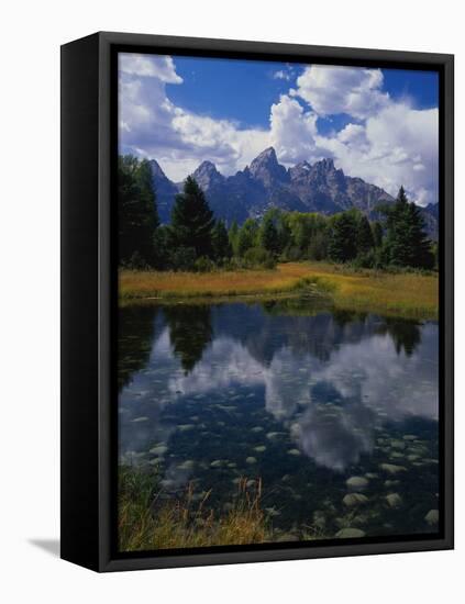 Shallow Pond Near Teton Range-James Randklev-Framed Premier Image Canvas