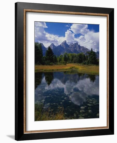 Shallow Pond Near Teton Range-James Randklev-Framed Photographic Print