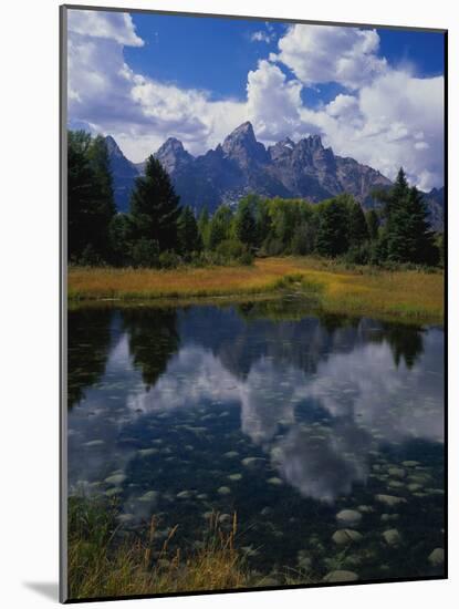 Shallow Pond Near Teton Range-James Randklev-Mounted Photographic Print
