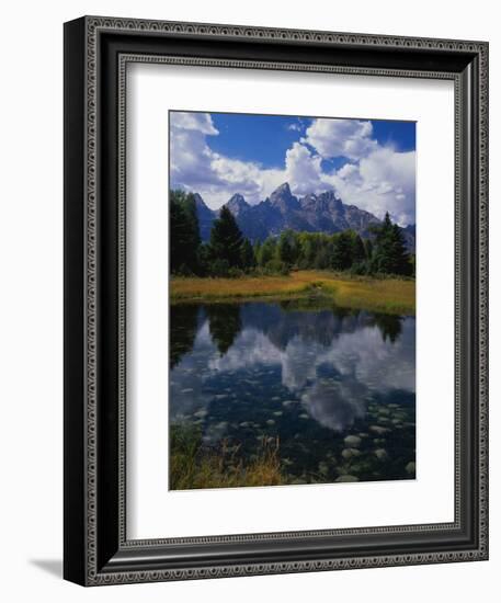 Shallow Pond Near Teton Range-James Randklev-Framed Photographic Print