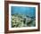 Shallow Top of the Reef is Nursery for Young Fish, Sabah, Malaysia, Southeast Asia-Lousie Murray-Framed Photographic Print