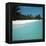 Shallow Water Near a Tropical Beach-null-Framed Premier Image Canvas