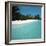 Shallow Water Near a Tropical Beach-null-Framed Photographic Print