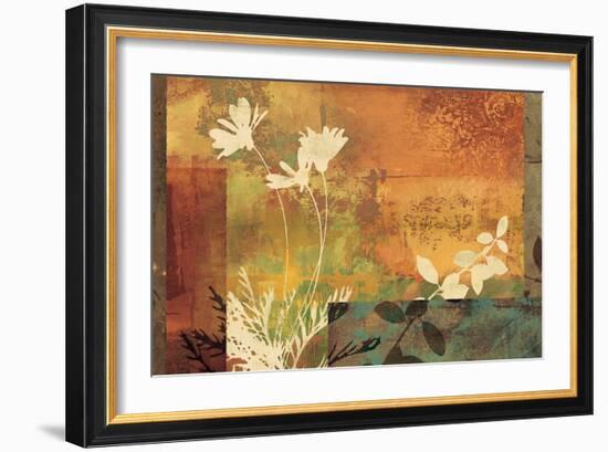 Shambala I-Chris Donovan-Framed Art Print