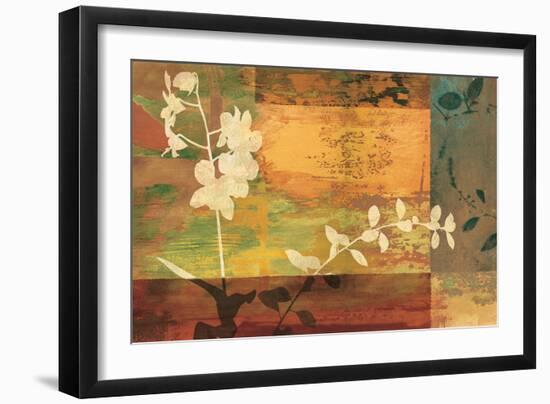 Shambala II-Chris Donovan-Framed Art Print