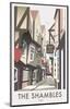 Shambles - Dave Thompson Contemporary Travel Print-Dave Thompson-Mounted Giclee Print