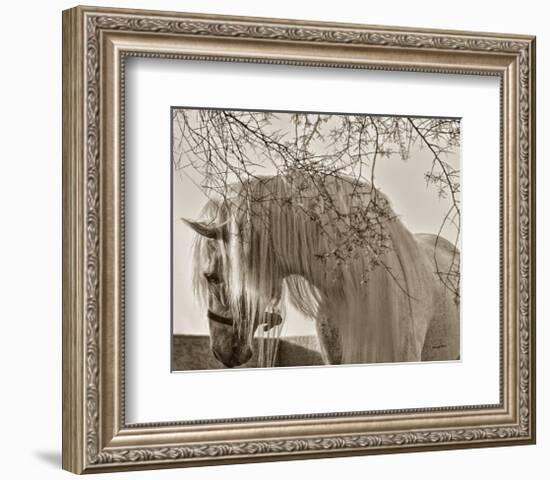 Shameless-Barry Hart-Framed Art Print