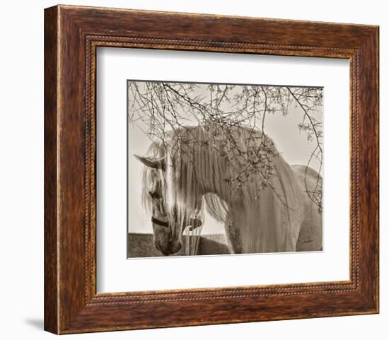 Shameless-Barry Hart-Framed Art Print