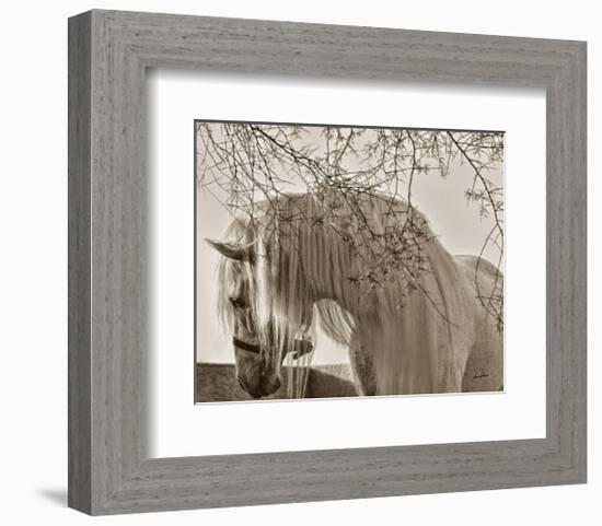 Shameless-Barry Hart-Framed Art Print